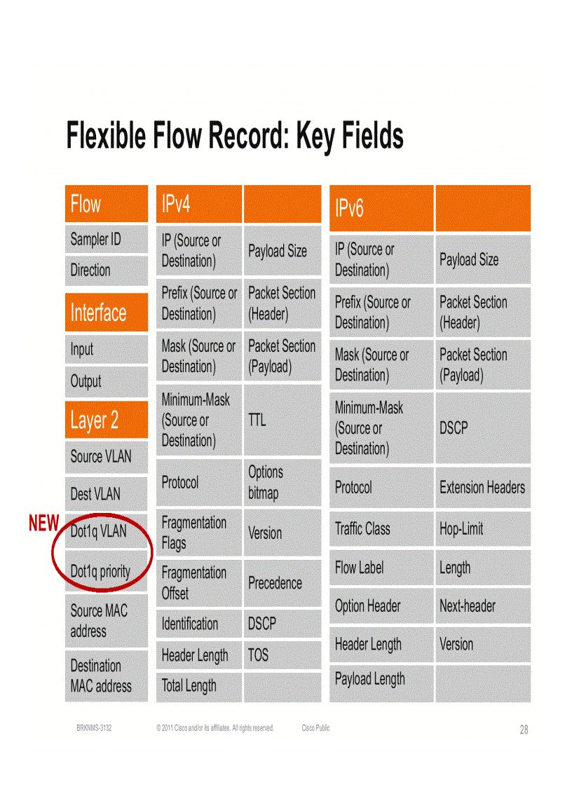 image for page Advanced NetFlow