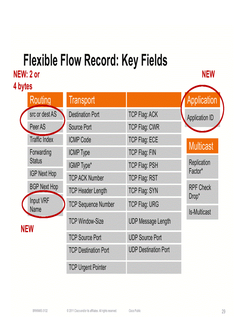 image for page Advanced NetFlow