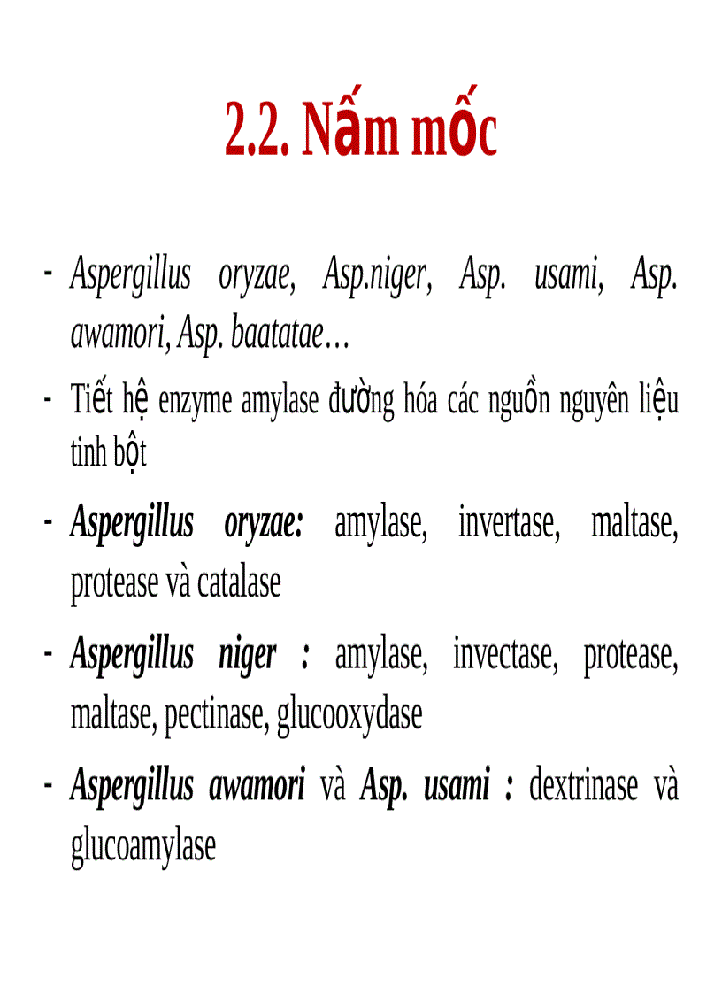 image for page Lên men rượu từ tinh bột