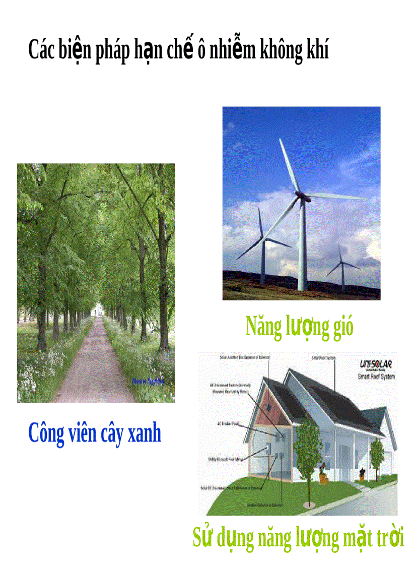 image for page Ô nhiễm môi trường