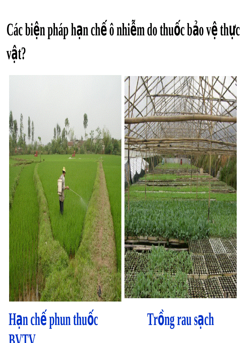 image for page Ô nhiễm môi trường