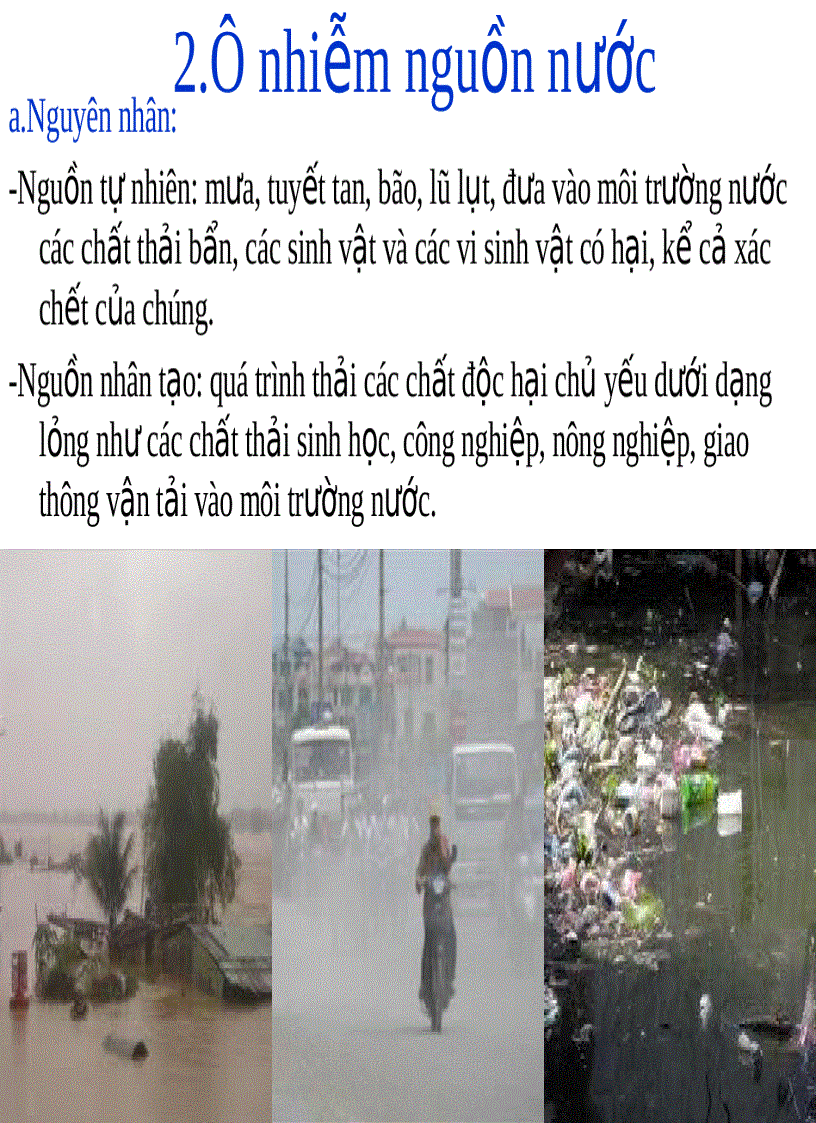 image for page Ô nhiễm môi trường