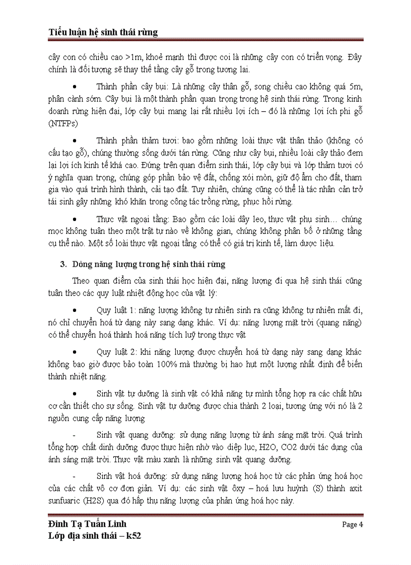 image for page Tiểu luận hệ sinh thái rừng ở Việt Nam