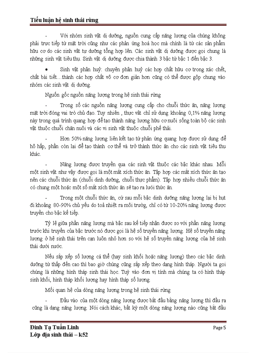 image for page Tiểu luận hệ sinh thái rừng ở Việt Nam