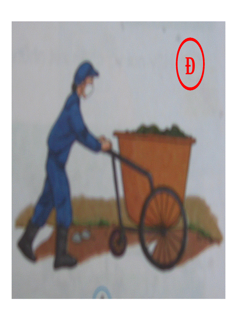 image for page Vệ sinh môi trường