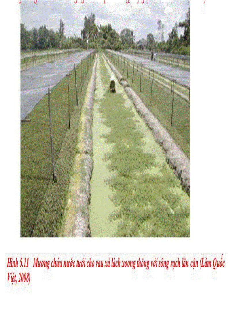 image for page Chiến lược bảo vệ môi trường