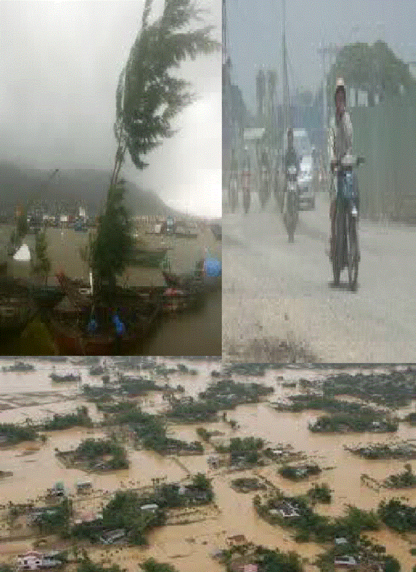 image for page Chiến lược bảo vệ môi trường