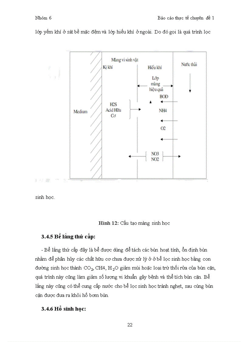 image for page Báo cáo thực tế ngành môi trường