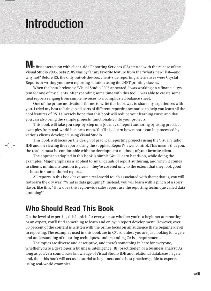 image for page Client Side Reporting with Visual Studio in C