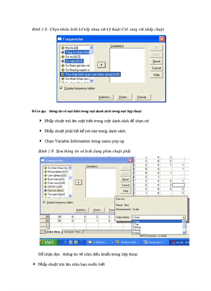 image for page Hướng dẫn sử dụng SPSS