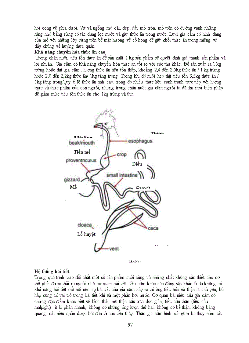 image for page Đặc điểm sinh học một số vật nuôi