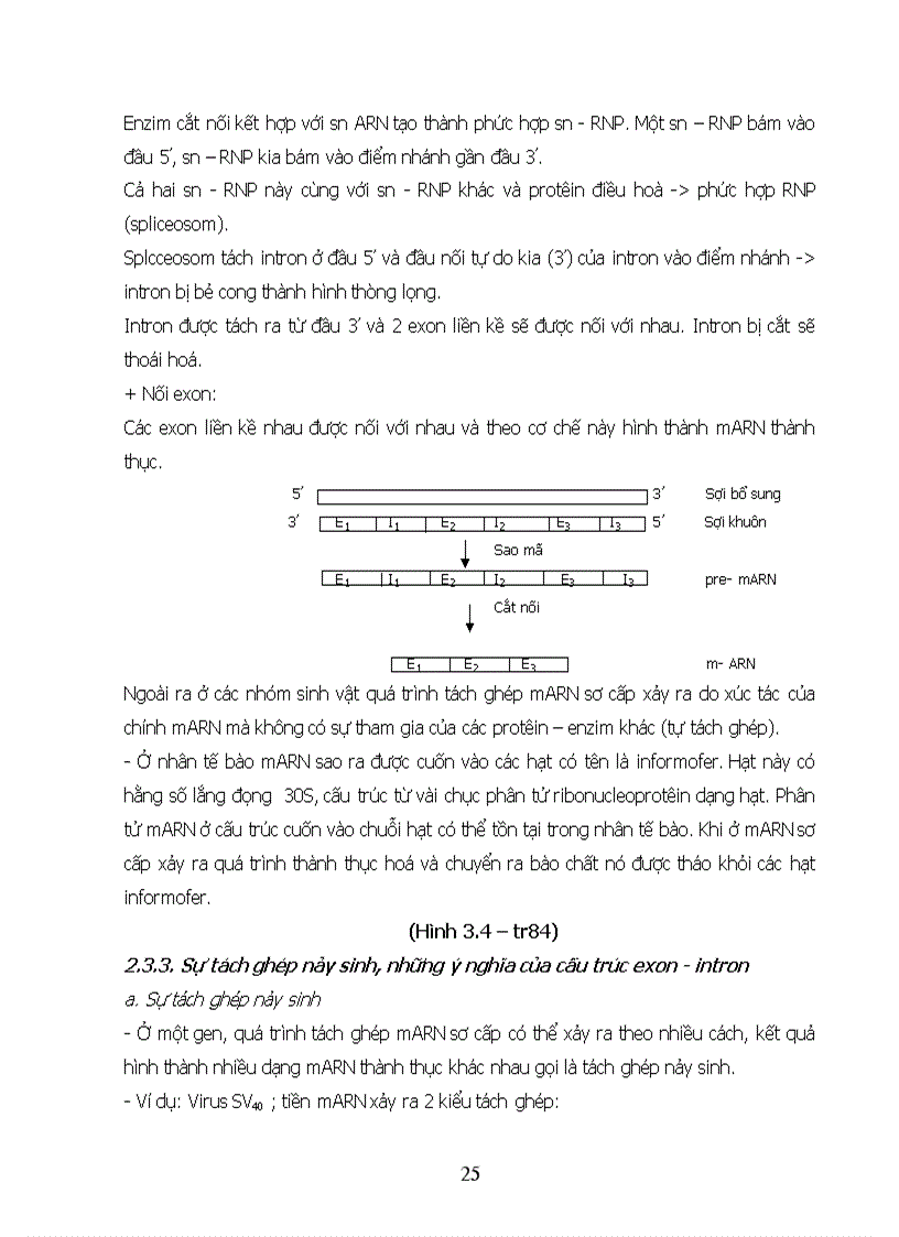 image for page Di truyền học đối với chọn giống và phát triển một nền nông nghiệp bền vững
