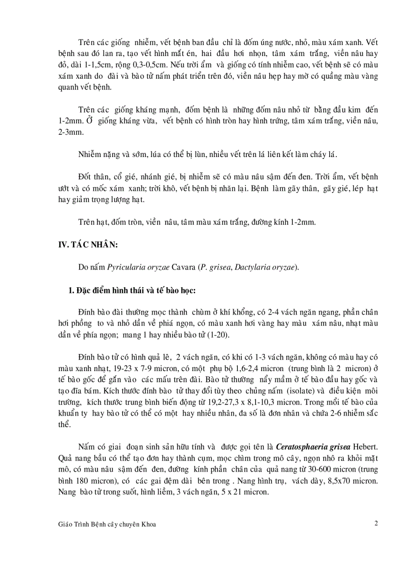 image for page Bệnh hại cây lúa