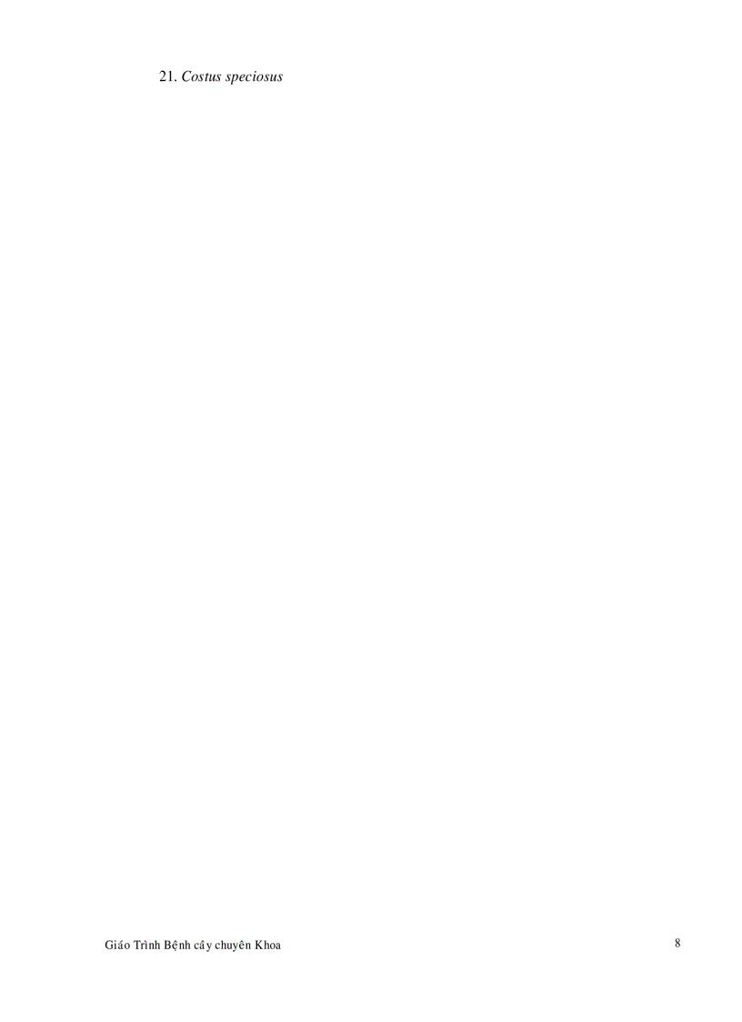 image for page Bệnh hại cây lúa