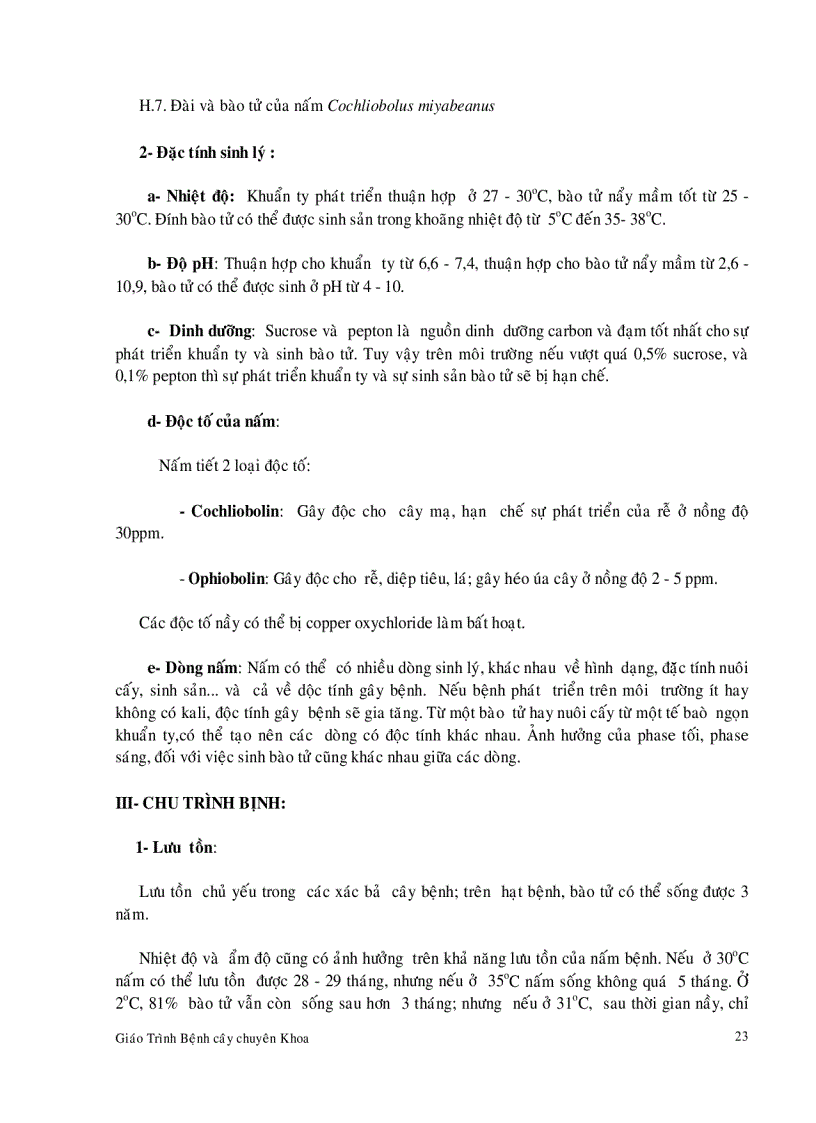 image for page Bệnh hại cây lúa