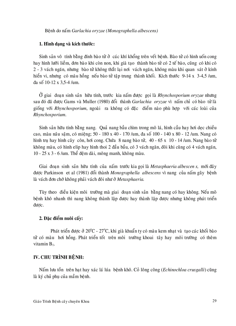 image for page Bệnh hại cây lúa