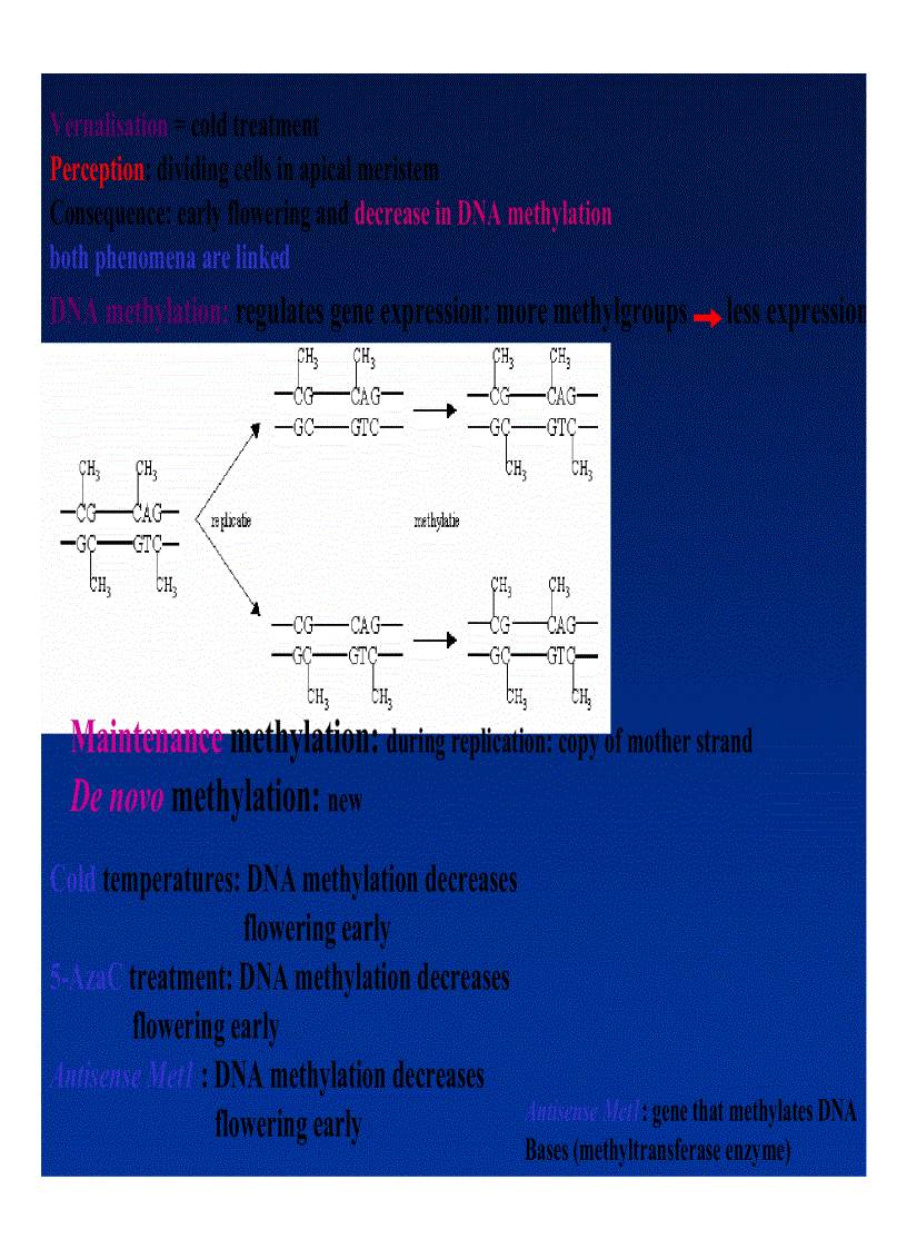 image for page Xử lý ra hoa