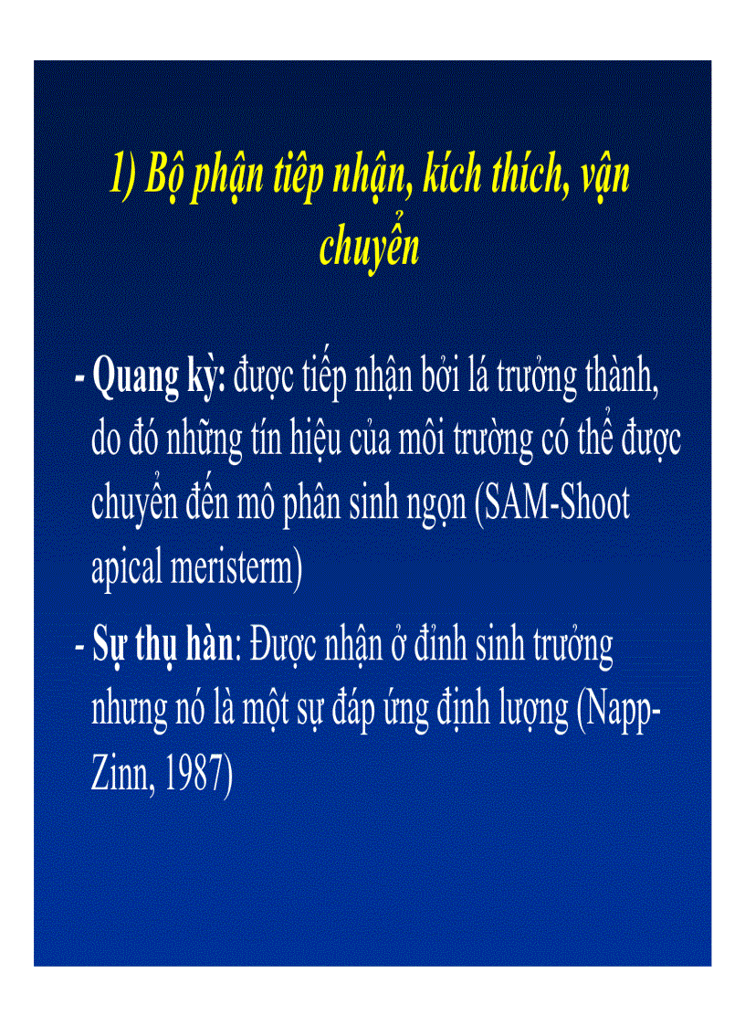 image for page Xử lý ra hoa