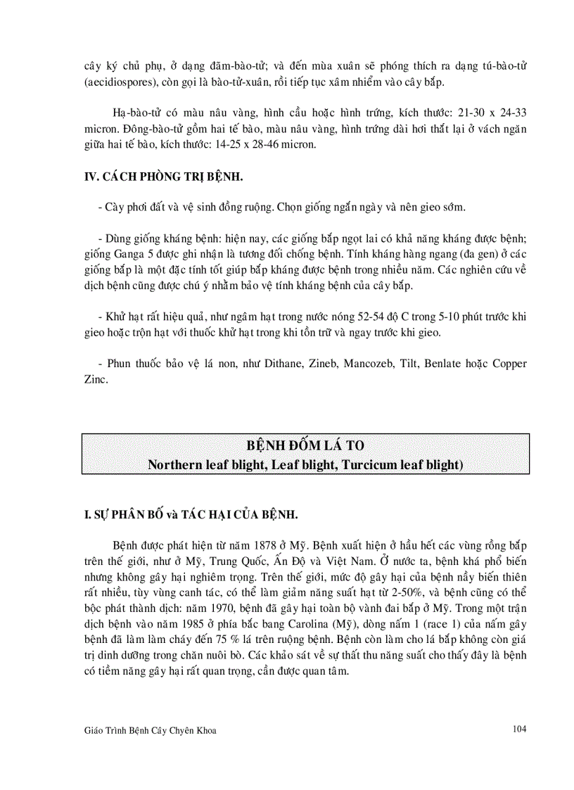 image for page Bệnh hại cây bắp