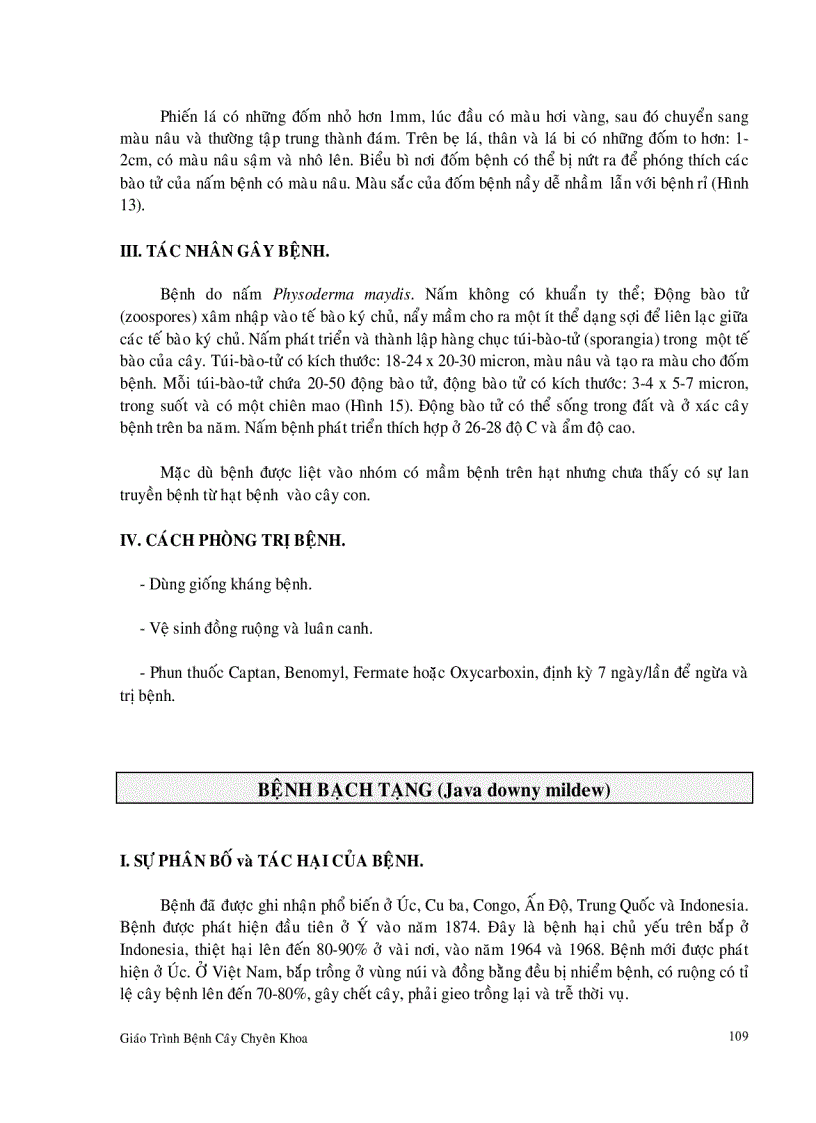 image for page Bệnh hại cây bắp