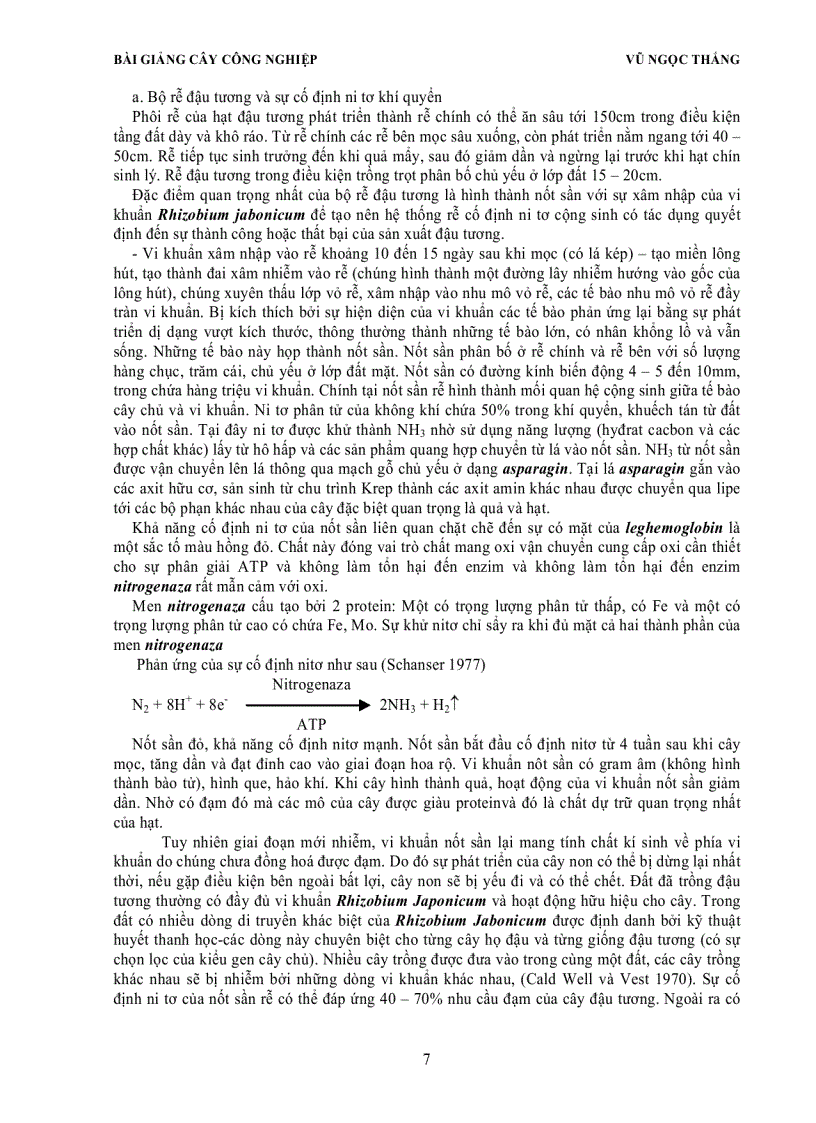 image for page Cây đậu tương