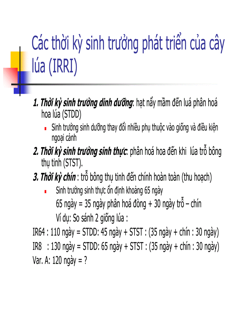 image for page Các thời kỳ sinh trưởng phát triển của cây lúa