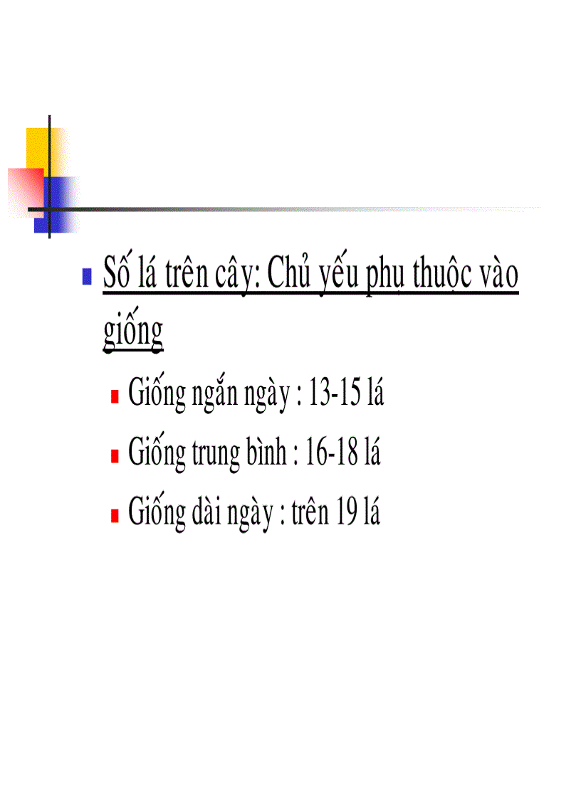 image for page Các thời kỳ sinh trưởng phát triển của cây lúa
