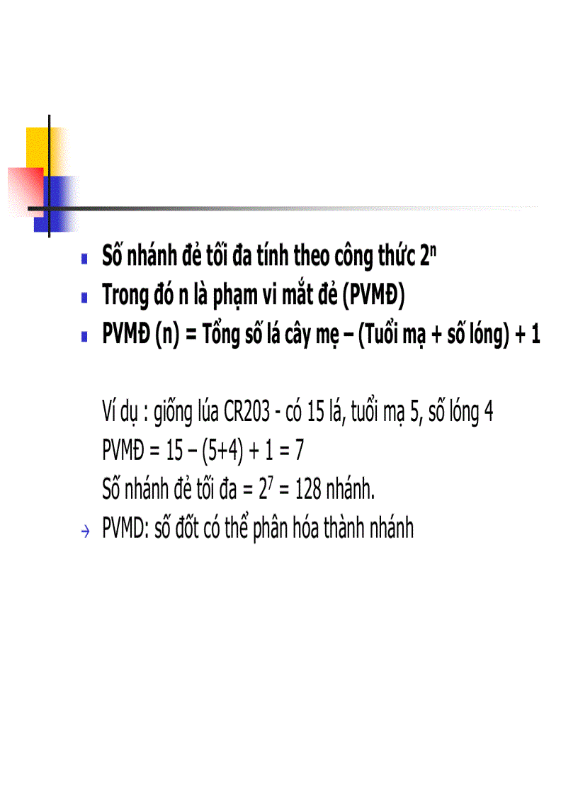 image for page Các thời kỳ sinh trưởng phát triển của cây lúa
