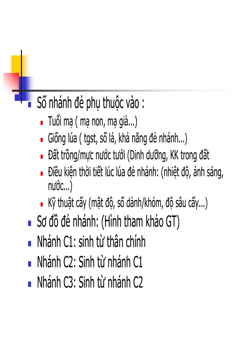 image for page Các thời kỳ sinh trưởng phát triển của cây lúa