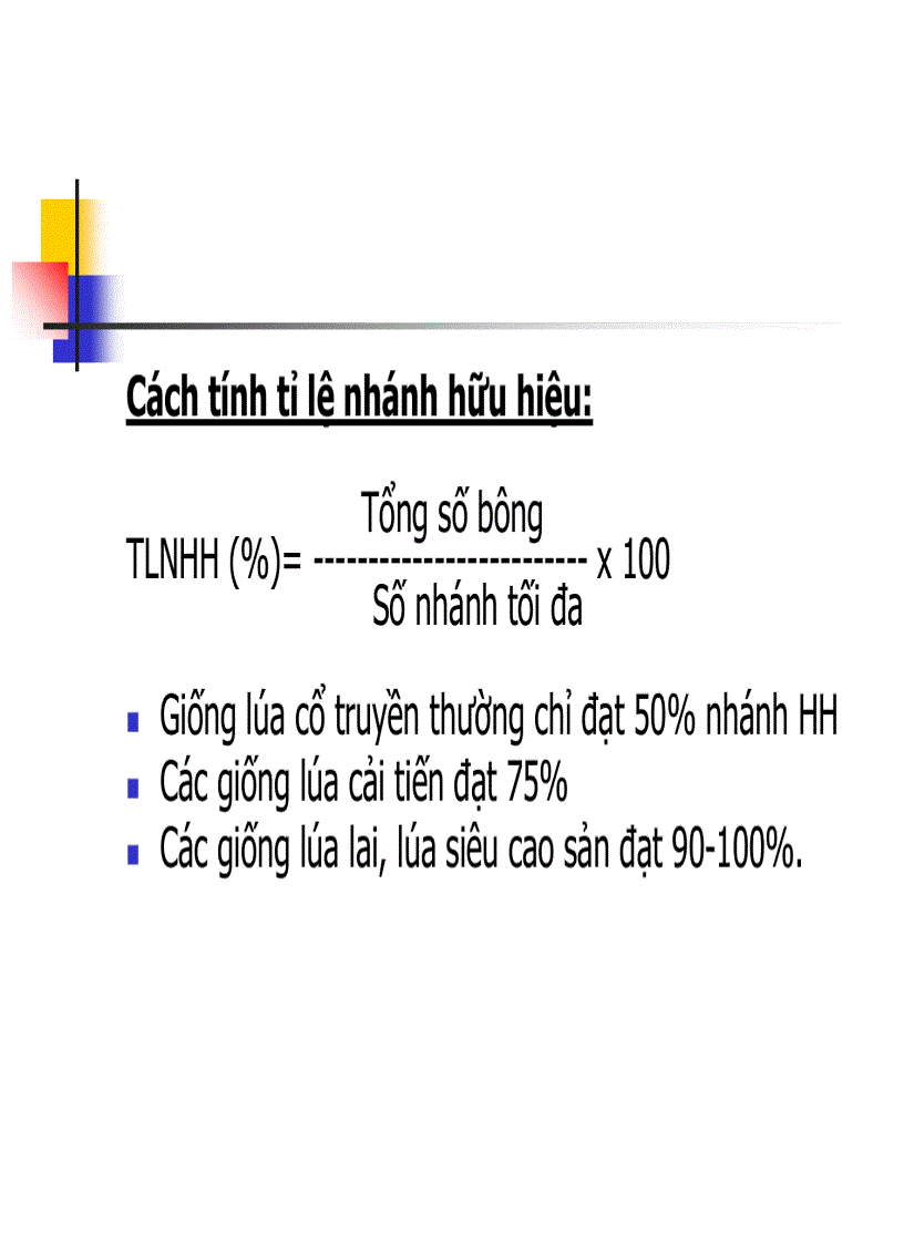 image for page Các thời kỳ sinh trưởng phát triển của cây lúa