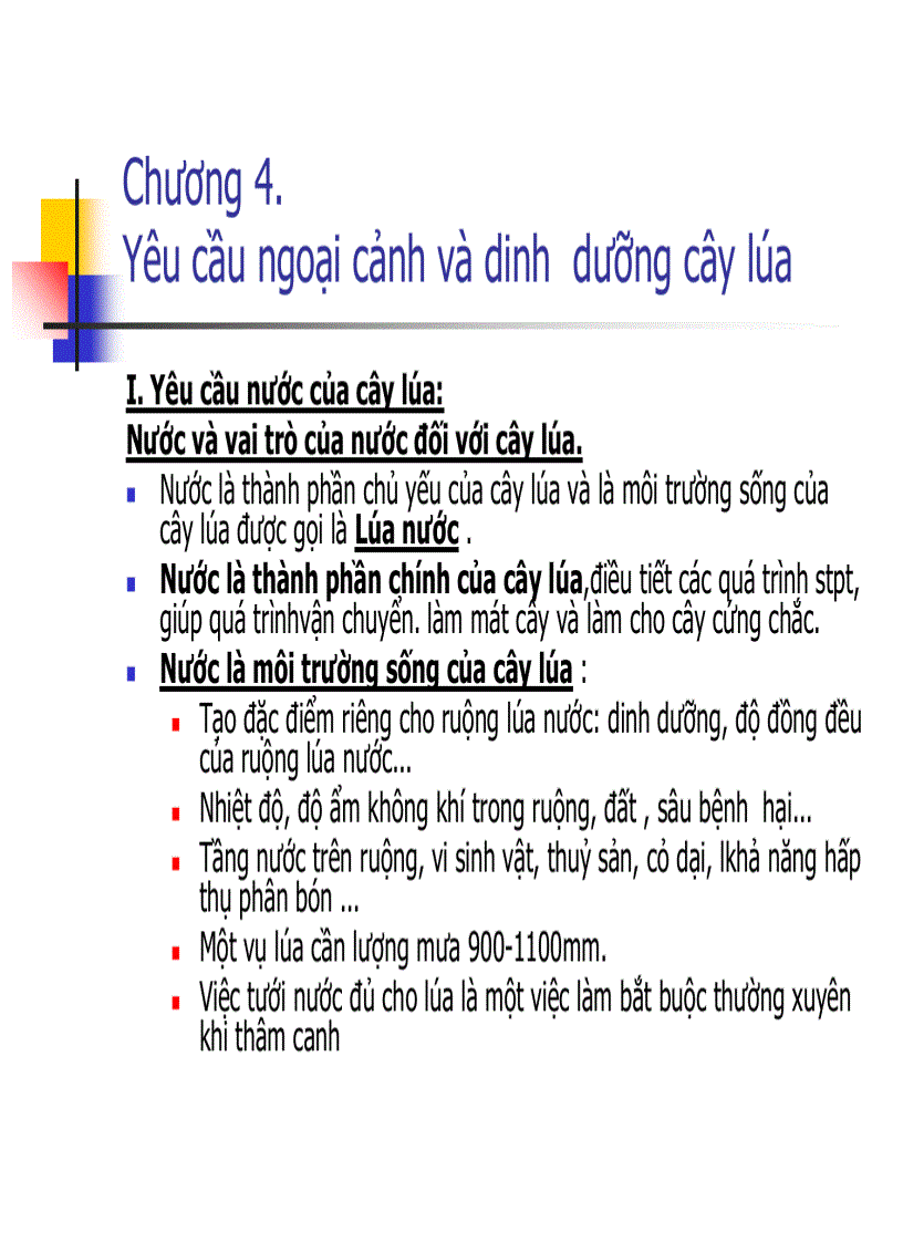 image for page Các thời kỳ sinh trưởng phát triển của cây lúa