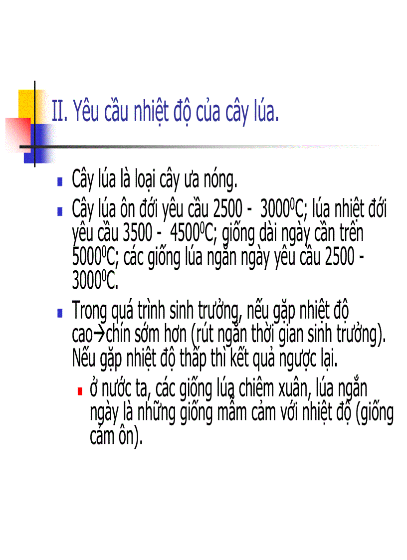 image for page Các thời kỳ sinh trưởng phát triển của cây lúa
