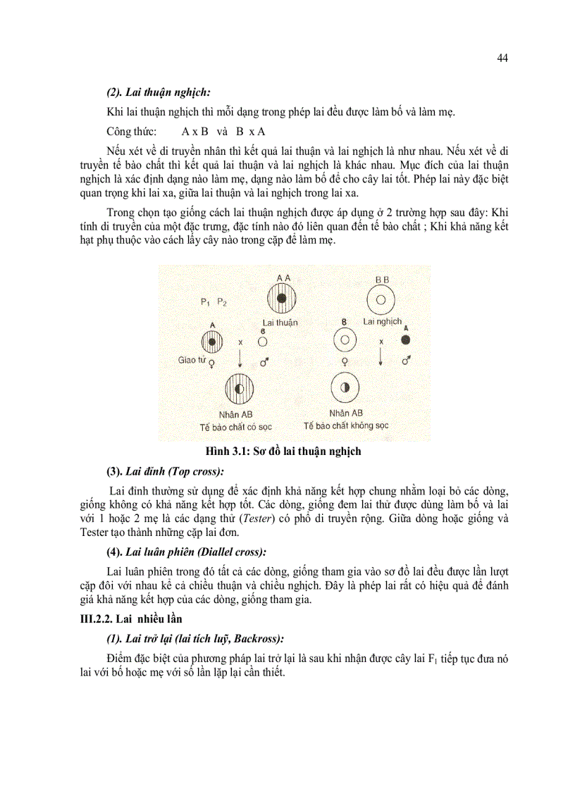 image for page Lai giống