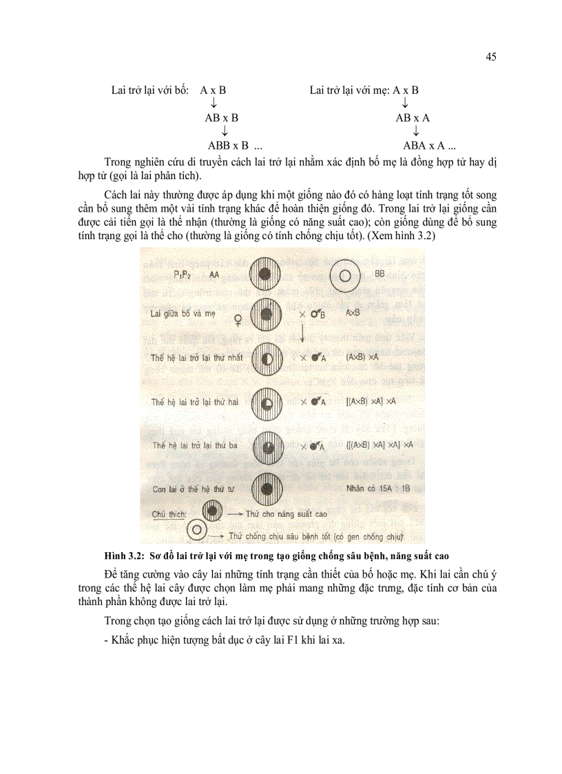 image for page Lai giống