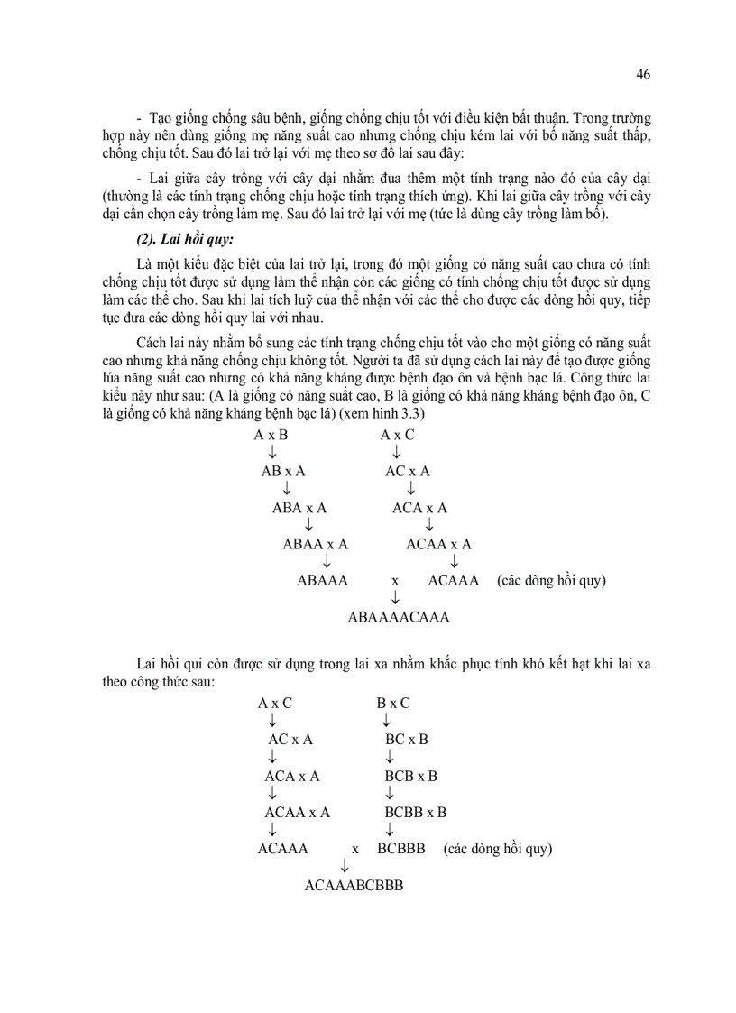 image for page Lai giống