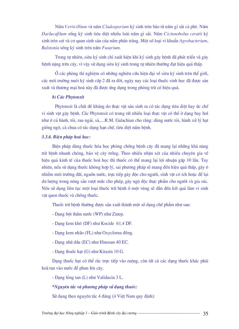 image for page Bệnh cây đại cương