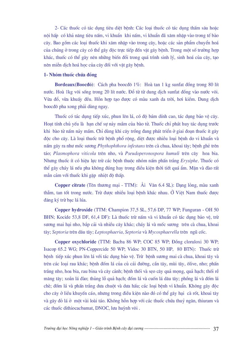 image for page Bệnh cây đại cương