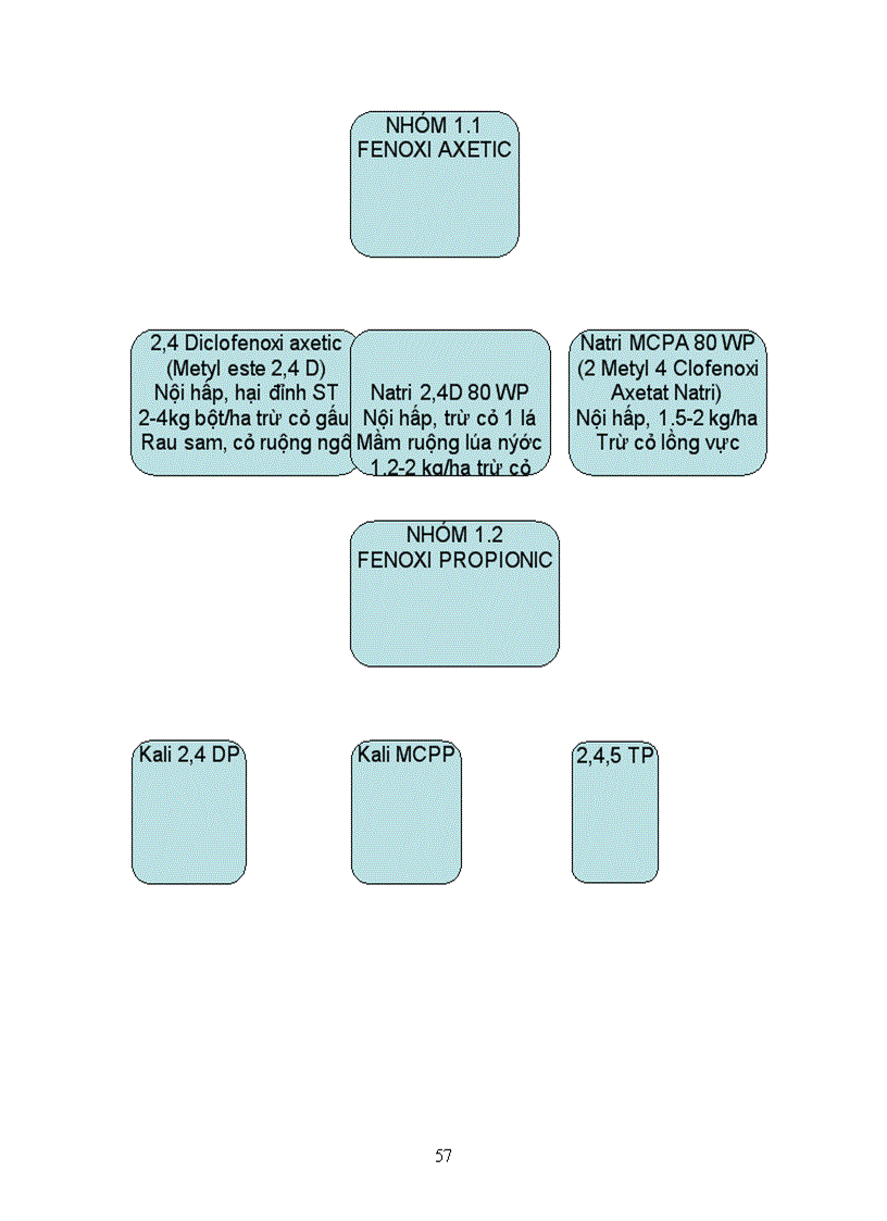image for page Sử dụng thuốc bảo vệ thực vật