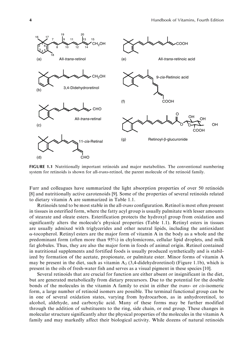image for page Sổ tay Vitamins Handbook of Vitamins 4th edition