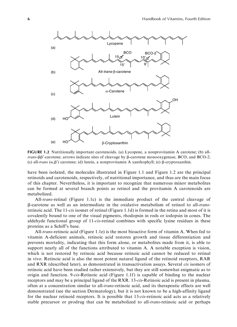 image for page Sổ tay Vitamins Handbook of Vitamins 4th edition