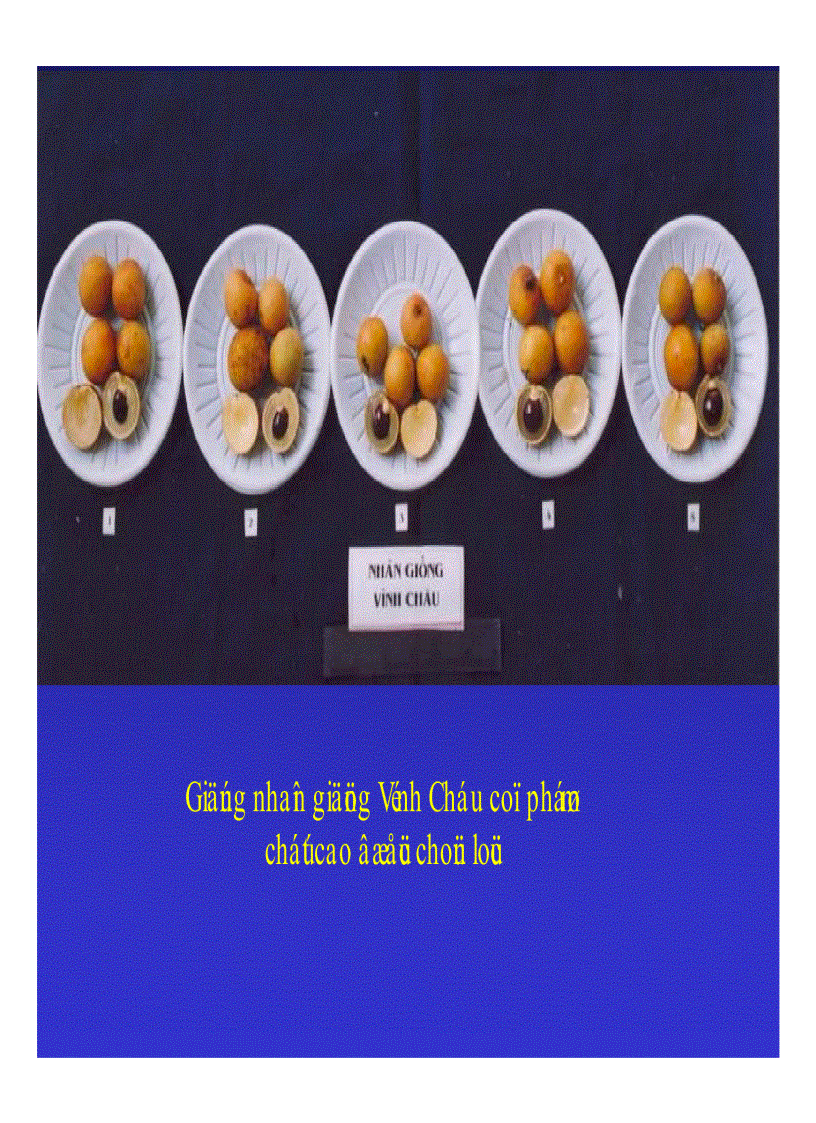 image for page Kỹ thuật trồng và xử lí ra hoa nhãn