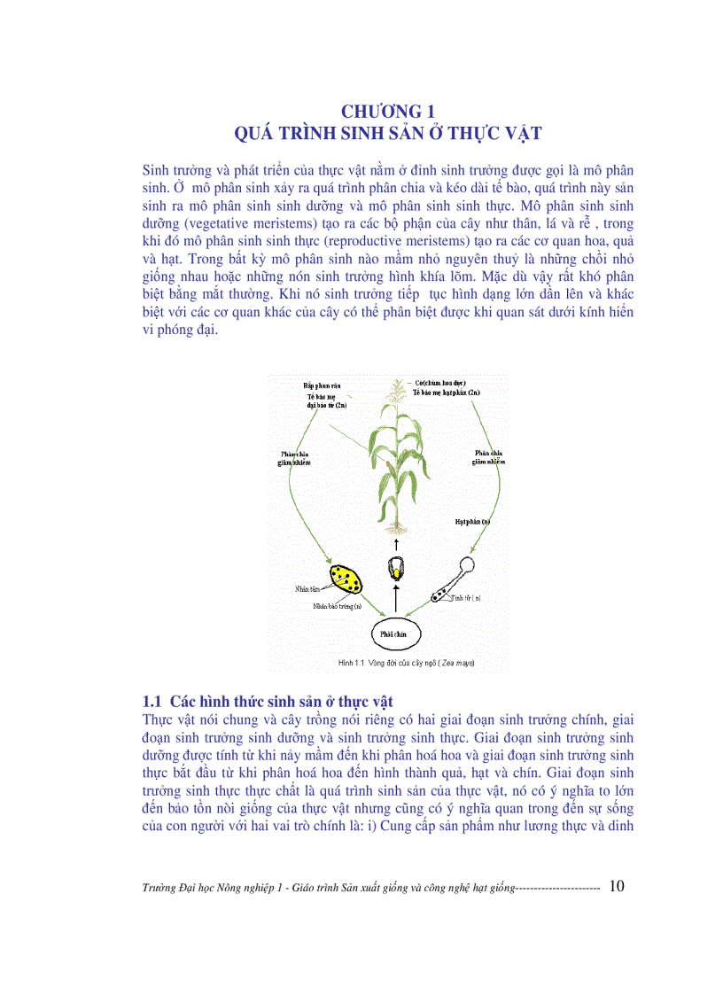 image for page Sản xuất giống và công nghệ hạt giống