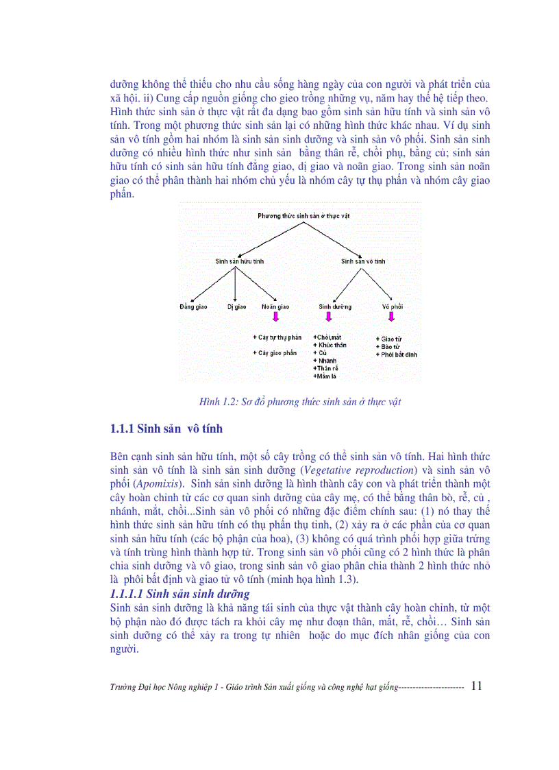 image for page Sản xuất giống và công nghệ hạt giống