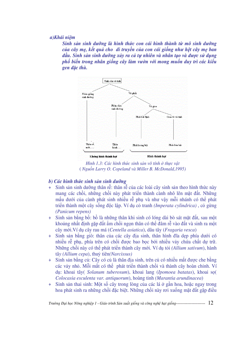 image for page Sản xuất giống và công nghệ hạt giống