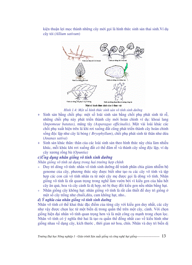 image for page Sản xuất giống và công nghệ hạt giống