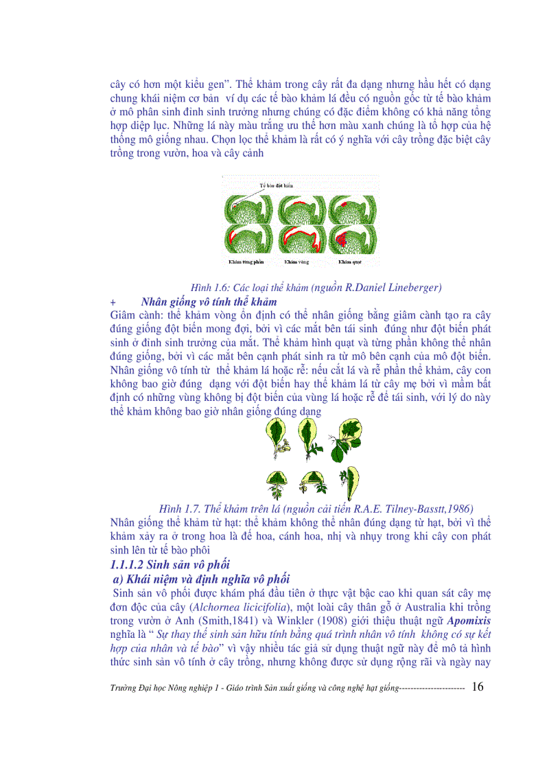 image for page Sản xuất giống và công nghệ hạt giống