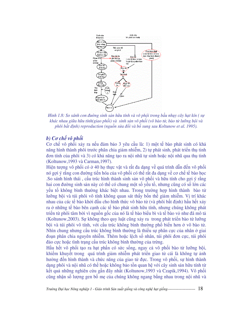 image for page Sản xuất giống và công nghệ hạt giống