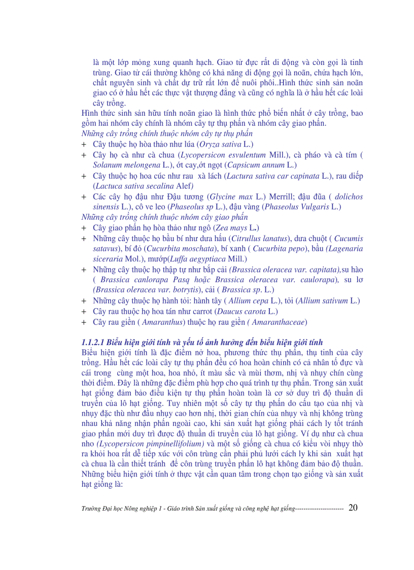 image for page Sản xuất giống và công nghệ hạt giống