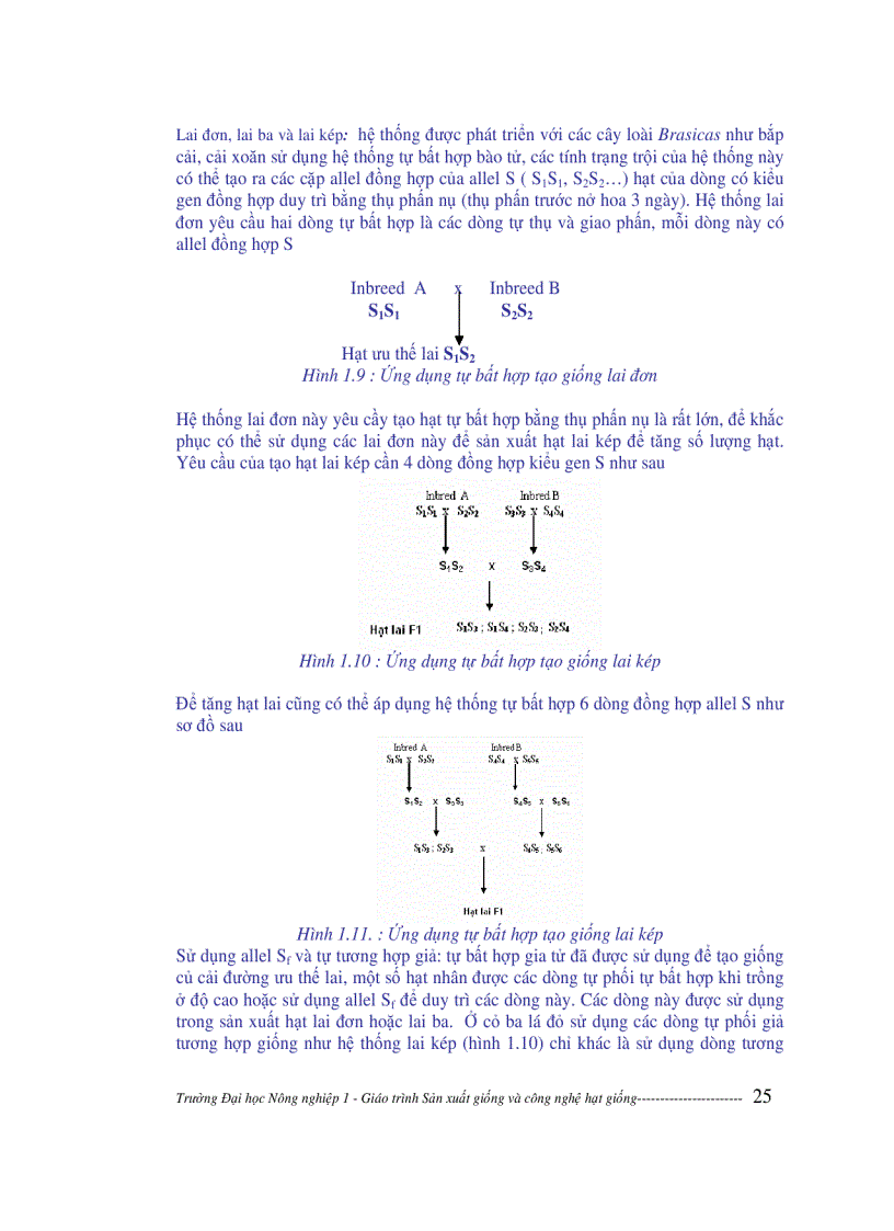 image for page Sản xuất giống và công nghệ hạt giống