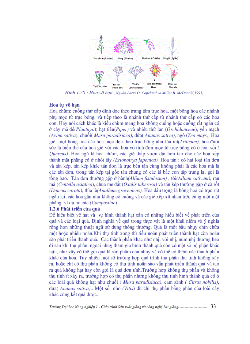 image for page Sản xuất giống và công nghệ hạt giống